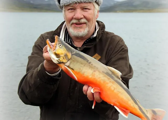 Alpesi faház Saivaara